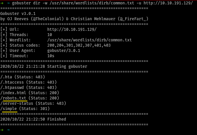 gobuster scan