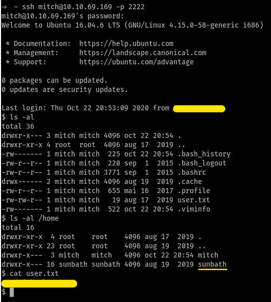 sshed in and user flag
